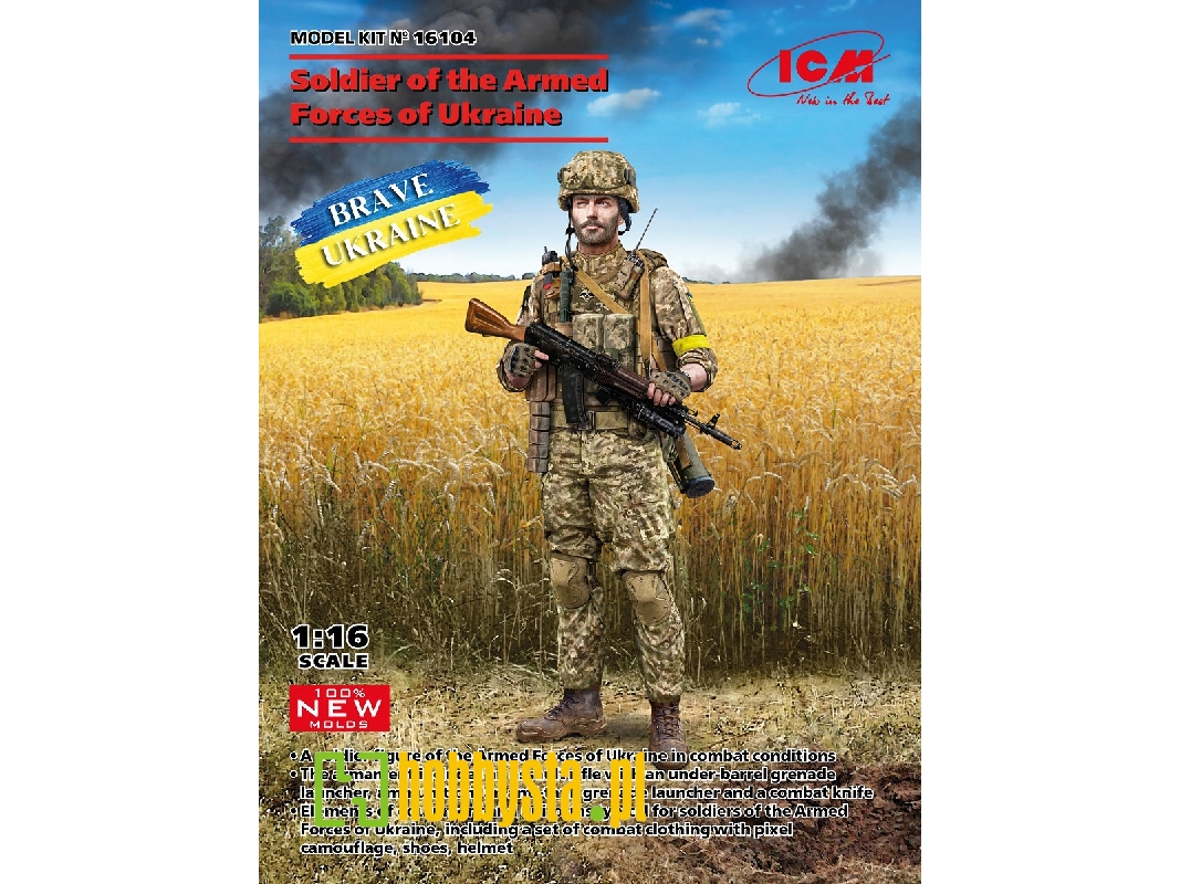 Soldier Of The Armed Forces Of Ukraine - image 1