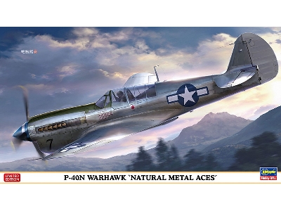 P-40n Warhawk 'natural Metal Aces' - image 1
