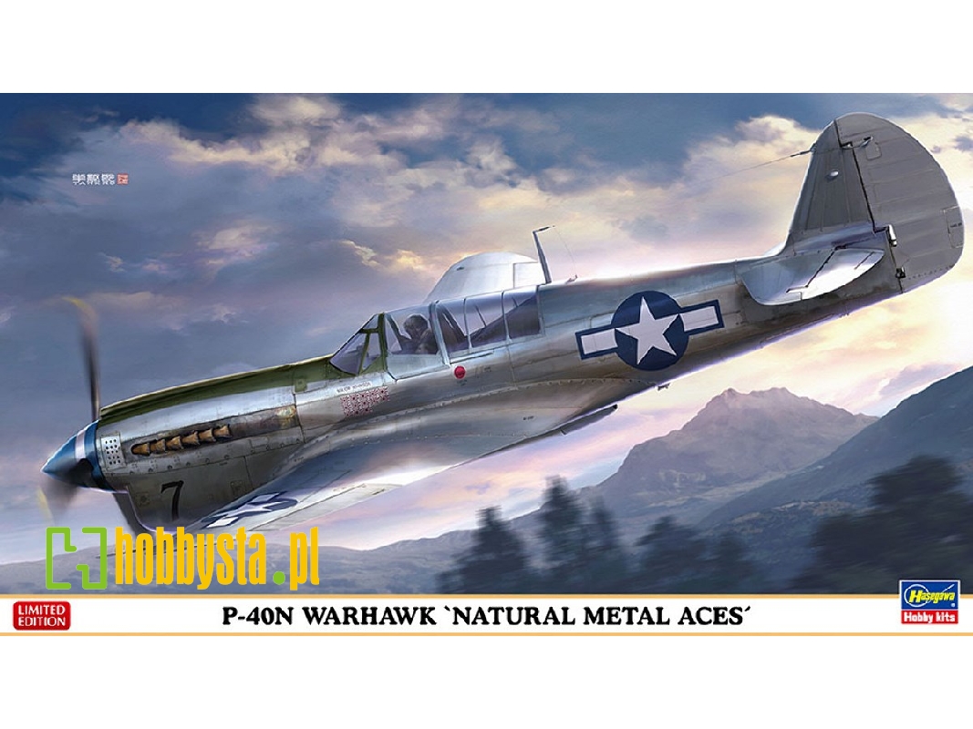 P-40n Warhawk 'natural Metal Aces' - image 1