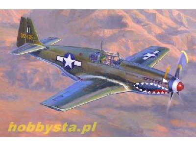 P-51 B-1 "Bull Frogl" - image 1
