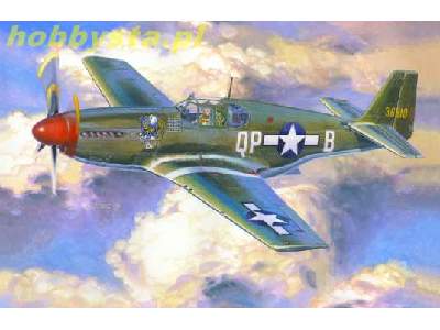 P-51 B-5 "Bee" - image 1