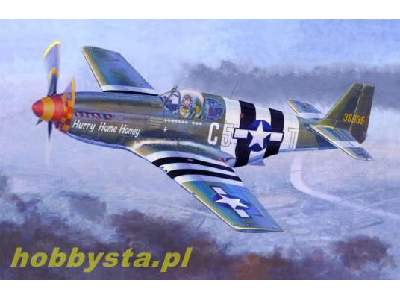P-51 B-5 "Hurry Home Honey" - image 1