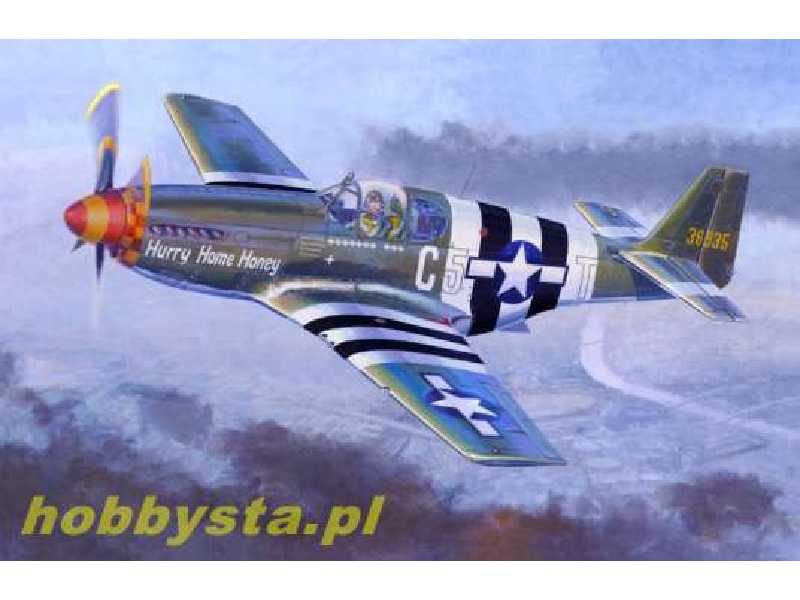 P-51 B-5 "Hurry Home Honey" - image 1