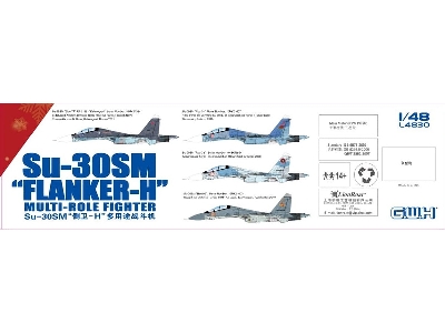 Su-30sm Flanker-h Multi-role Fighter - image 2