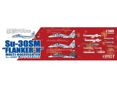 Su-30sm Flanker-h Multi-role Fighter - image 3