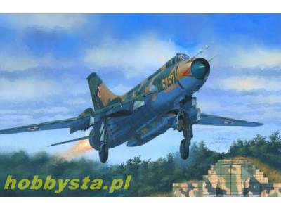 SU-20/R Last Flight - image 1