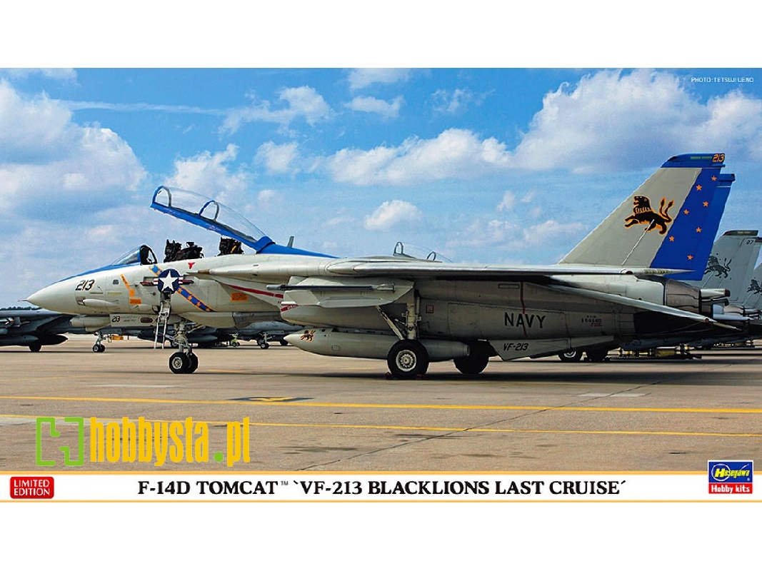 F-14d Tomcat 'vf-213 Blacklions Last Cruise' - image 1
