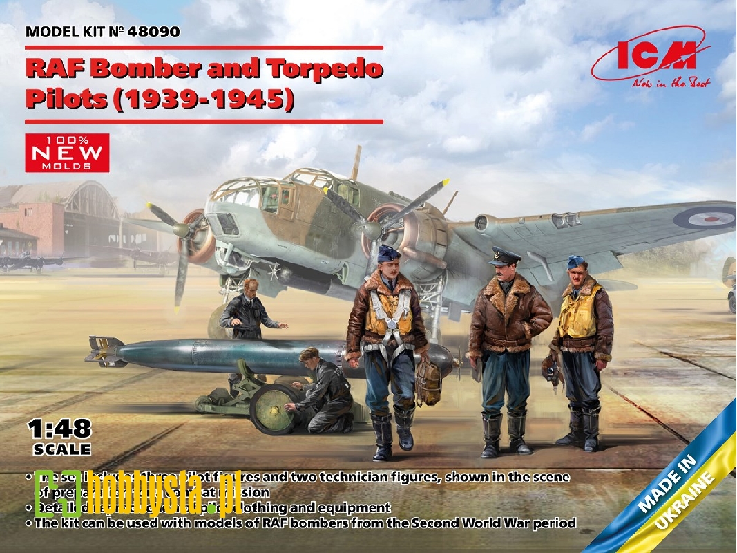 Raf Bomber And Torpedo Pilots - image 1