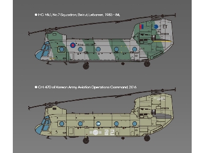 CH-47D/F/J/HC.Mk.1 "4 Nations" - image 3
