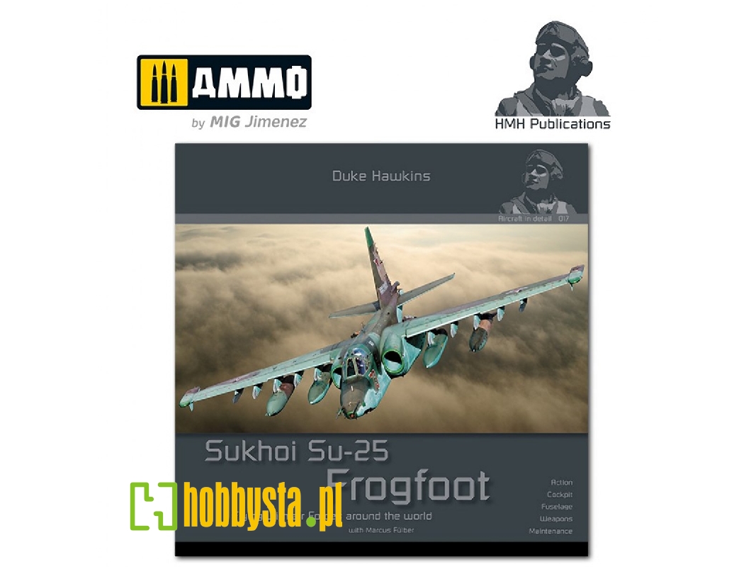 Sukhoi Su-25 Frogfoot - image 1