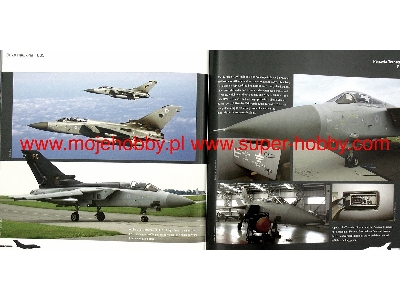 Aircraft In Detail: Panavia Tornado - image 17