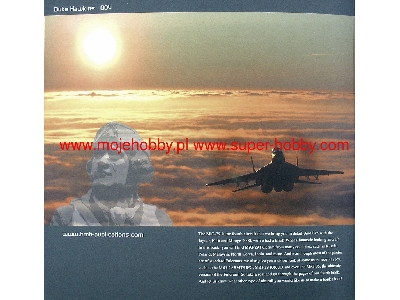 Aircraft In Detail: Mig-29 Fulcrum - image 10