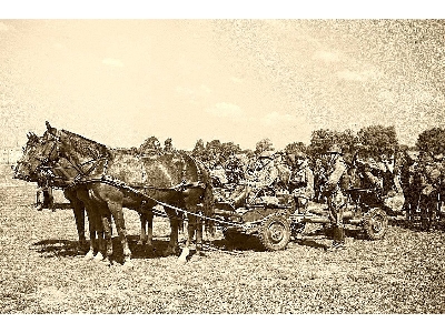 Three-horse cavalry carriage for 37mm Bofors wz. 36 - image 5