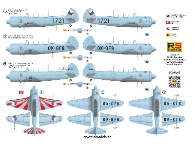 Yak-11 / C-11 Moose - image 2