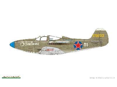 P-39N Airacobra 1/48 - image 2