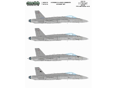 Finnish F/A-18c/D Hornets - Generic Set - image 1