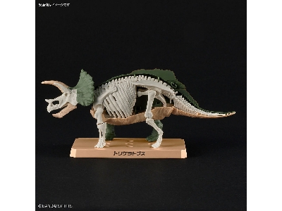 Planosaurus - Triceratops - image 8