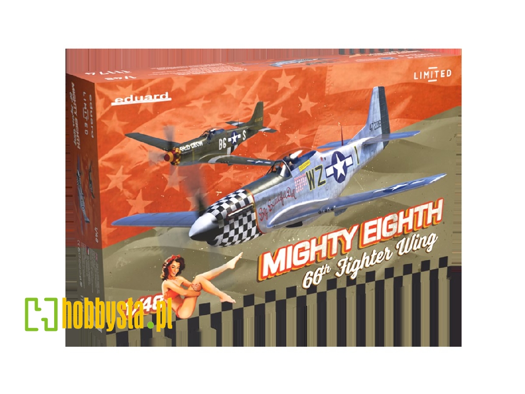 MIGHTY EIGHTH: 66th Fighter Wing 1/48 - image 1