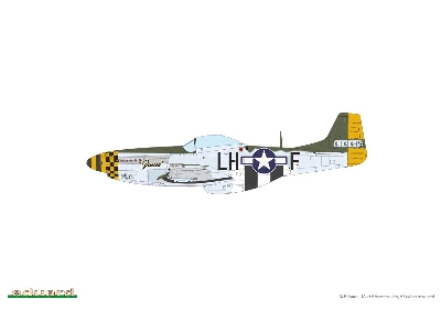 MIGHTY EIGHTH: 66th Fighter Wing 1/48 - image 26