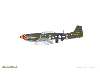 MIGHTY EIGHTH: 66th Fighter Wing 1/48 - image 28