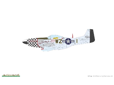 MIGHTY EIGHTH: 66th Fighter Wing 1/48 - image 31