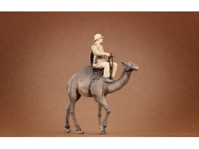 Afrikakorps Soldier Riding Camel 3d - image 2