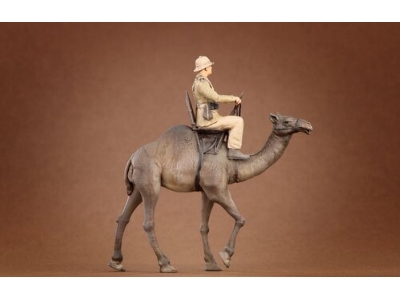 Afrikakorps Soldier Riding Camel 3d - image 3
