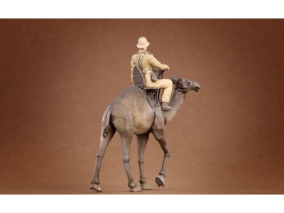Afrikakorps Soldier Riding Camel 3d - image 4