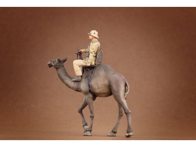 Afrikakorps Soldier Riding Camel 3d - image 5