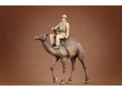 Afrikakorps Soldier Riding Camel 3d - image 6