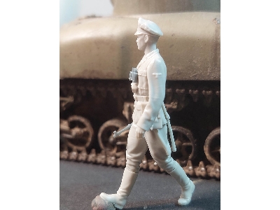 Waffen-ss Officer Walking - image 2