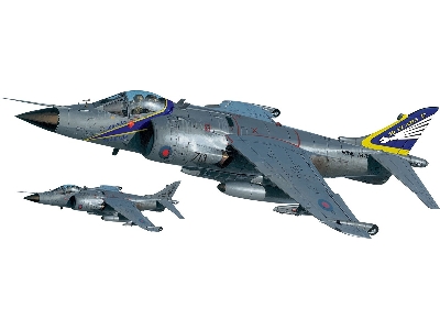 Harrier Frs.1 '50 Years 800 Nas' - image 2