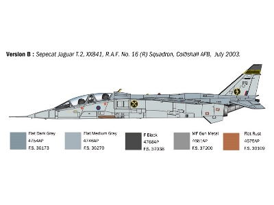 Jaguar T.2 R.A.F. Trainer - image 5