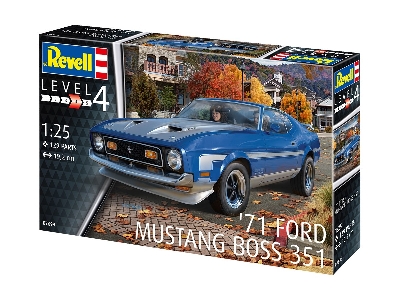 71 Mustang Boss 351 - image 7