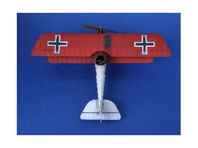 Pfalz D. IIIa 1/48 - image 8