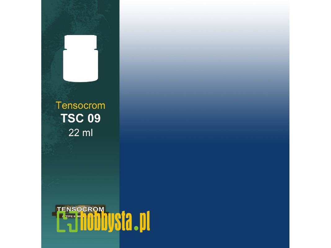 Tsc209 - Kerosene Filter Tensocrom - image 1