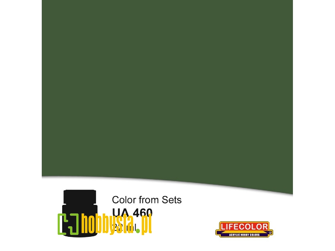 Ua460 - Italian Wwi Uniforms Cuoio Verde - image 1