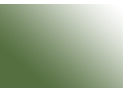 Ua749 - Vegetable Origin Damp Green - image 2