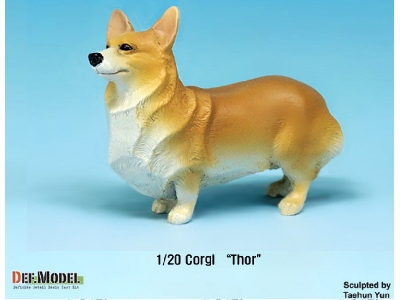 Corgi Thor - image 3
