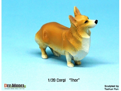 Corgi Thor - image 4
