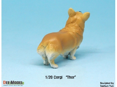 Corgi Thor - image 5