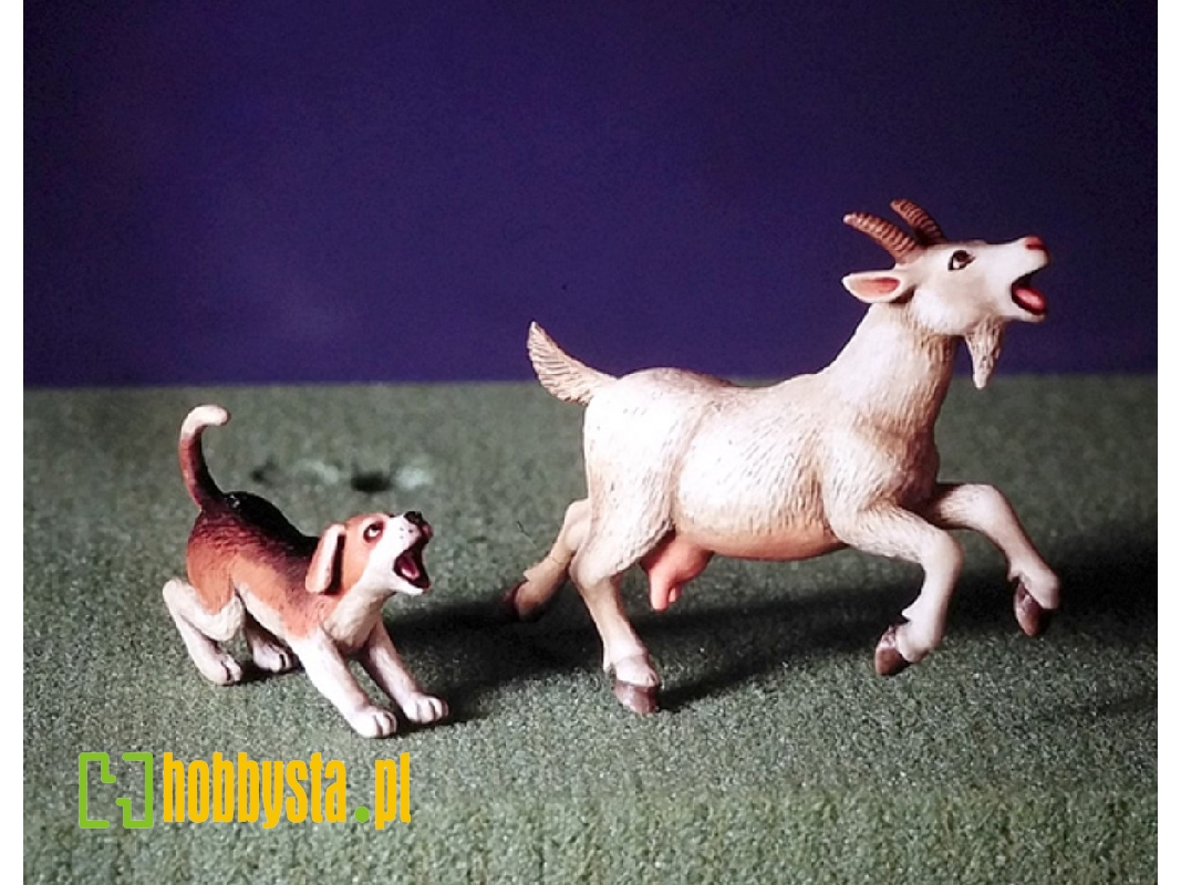 Goat And Beagle - image 1