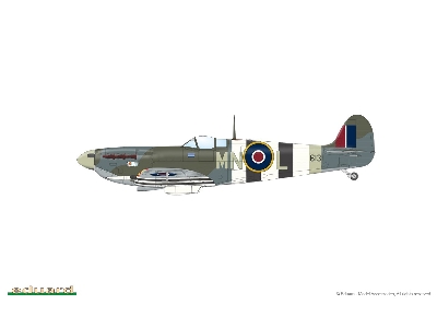 Spitfire Mk. Vc 1/48 - image 4