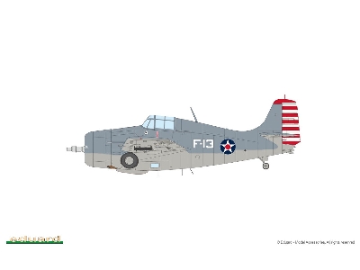 F4F-3 WILDCAT 1/48 - image 5