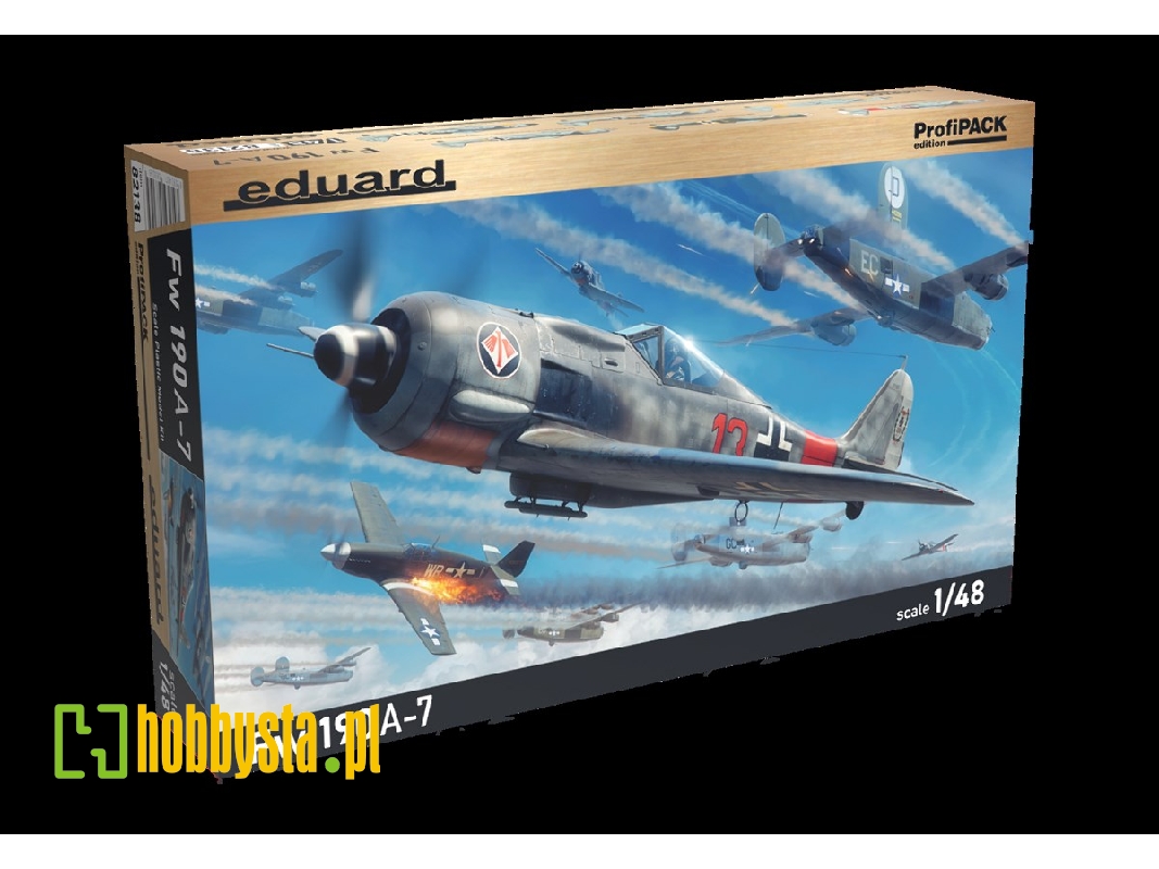 Fw 190A-7 1/48 - image 1