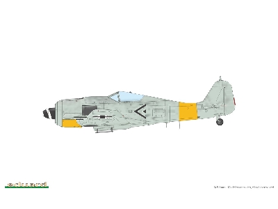Fw 190A-7 1/48 - image 4