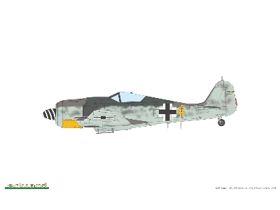 Fw 190A-7 1/48 - image 7