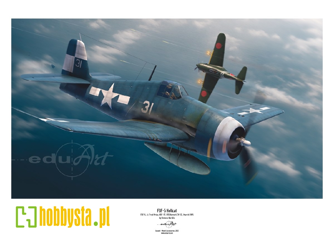 F6F-5 - image 1