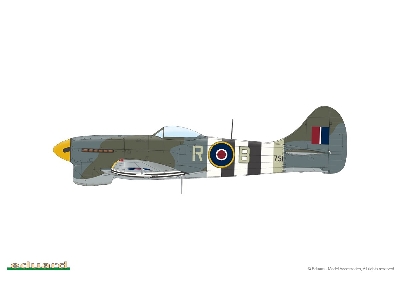 Tempest Mk. V Series 1 1/48 - image 4