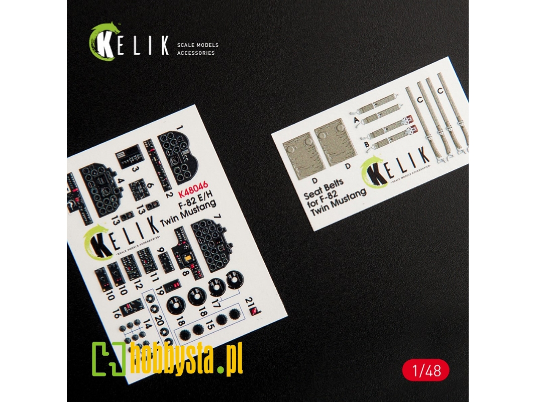 F-82 E/H Twin Mustang Interior - image 1